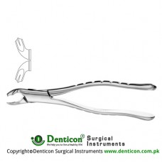 American Pattern Tooth Extracting Forcep Fig. 217 (For Lower Molars) Stainless Steel, Standard